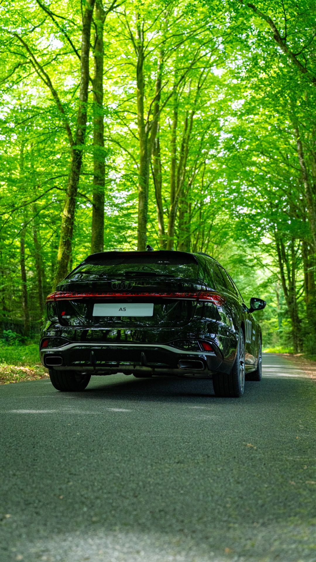 Audi A5 noire en forêt
