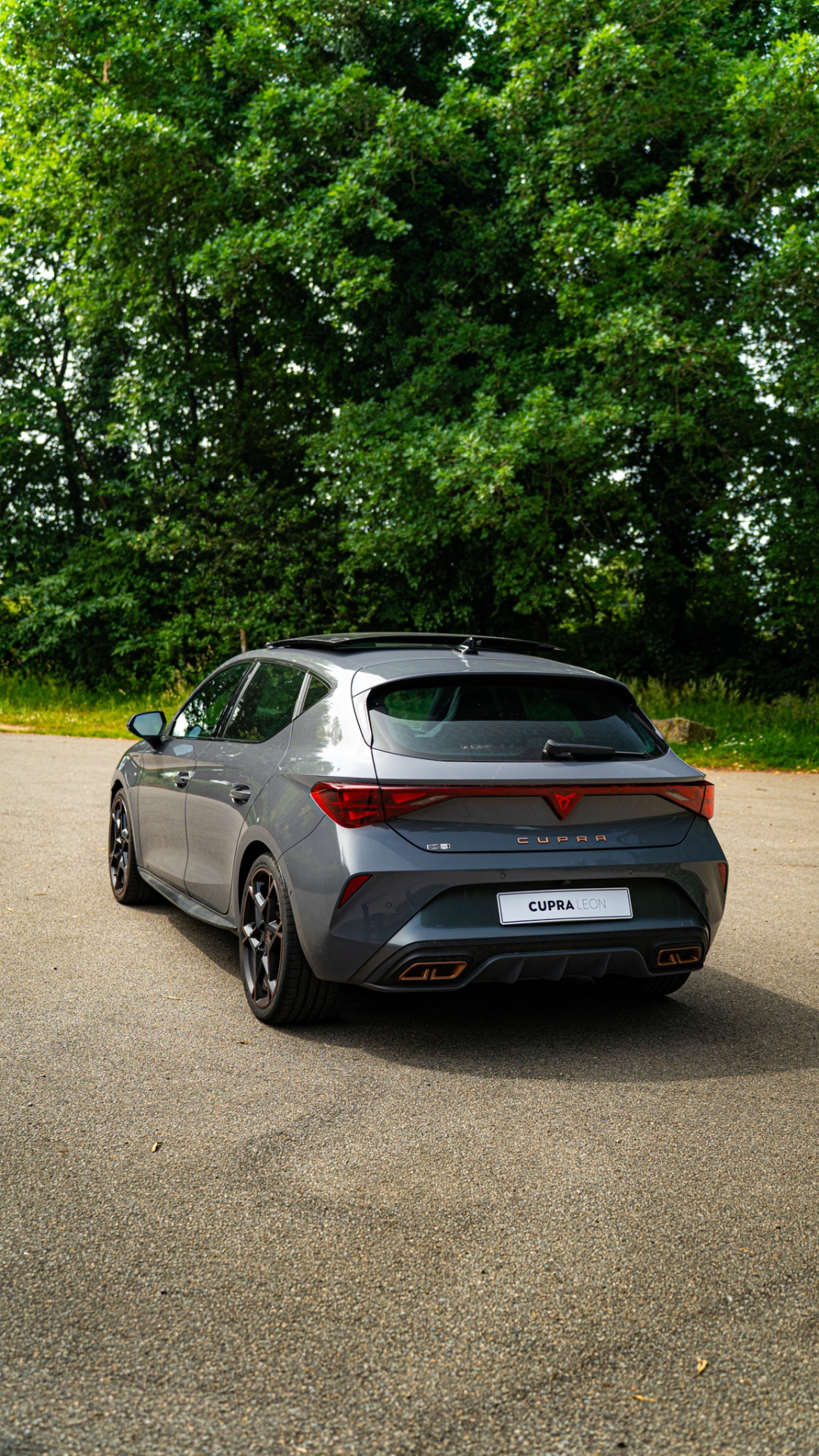 Cupra Leon grise vue arrière
