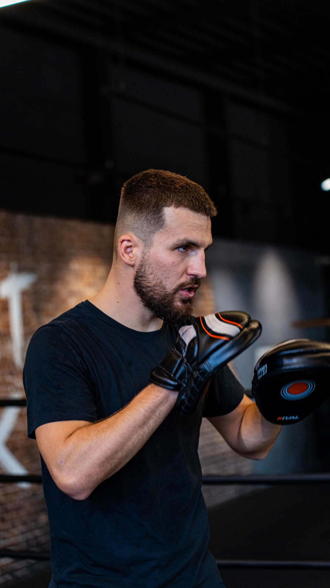 Boxeur en garde, gants noirs devant les pattes d'ours